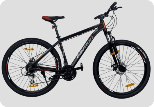 favron legend dx 29er 24 gears speed cycle on rent juhu